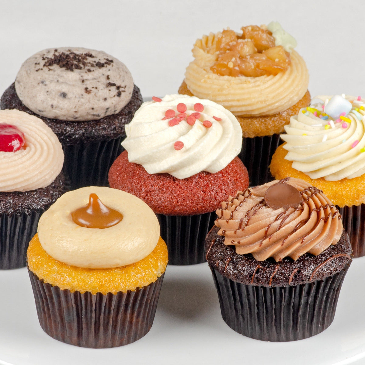 ORALOA (オラロア)Cupacake Assorted Cupcakes (6-pack) – La Rocca Creative Kitchen Midtown